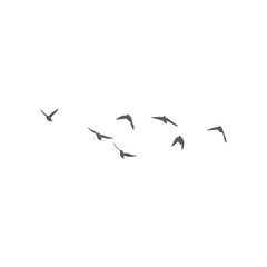 Flying birds silhouettes. Vector illustration 