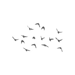 Flying birds silhouettes. Vector illustration 