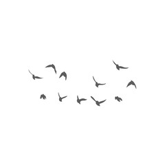 Flying birds silhouettes. Vector illustration 
