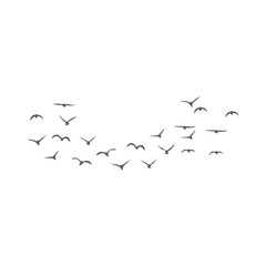 Flying birds silhouettes. Vector illustration 