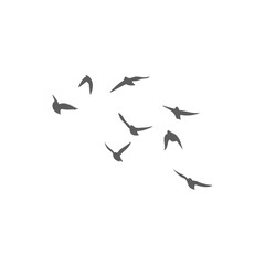 Flying birds silhouettes. Vector illustration 
