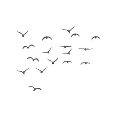 Flying birds silhouettes. Vector illustration 