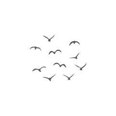 Flying birds silhouettes. Vector illustration 