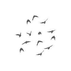 Flying birds silhouettes. Vector illustration 