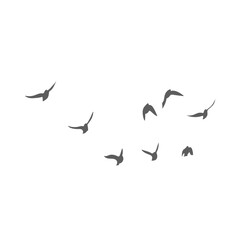 Flying birds silhouettes. Vector illustration 