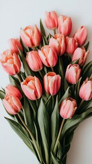 Obraz premium Pink tulips bouquet, white background, spring flowers, gift
