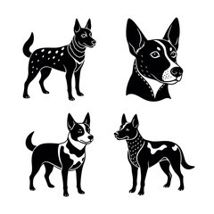 Australian Cattle Dog. 