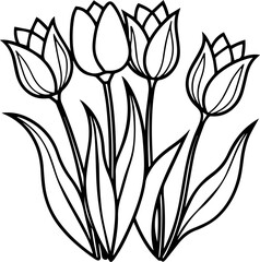 tulips line art, black outline, vector and illustration, coloring book pag