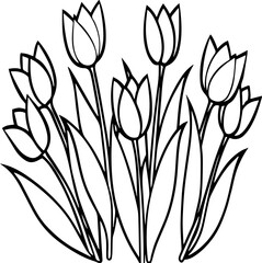 tulips line art, black outline, vector and illustration, coloring book pag
