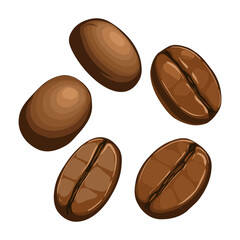 Coffee bean vector illustration with roasted brown beans isolated on white background aromatic coffee food design