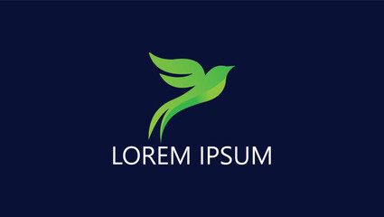 Birds Company logo Design