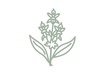 Bog Candle Flower Line Art Illustration