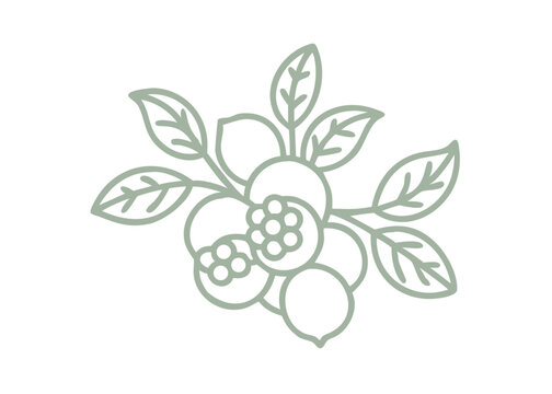 sage green floral outline on white clip art preview