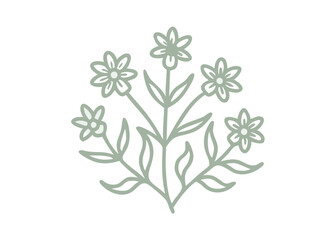 Grove Sandwort Flower Line Art Illustration