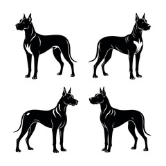 Great Dane Dog Illustration