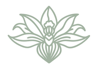 Round-Leaf Orchid Amerorchis Rotundifolia Line Art