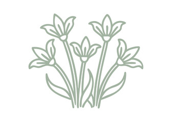 Minimalist Shooting Star Flower Line Art Illustration
