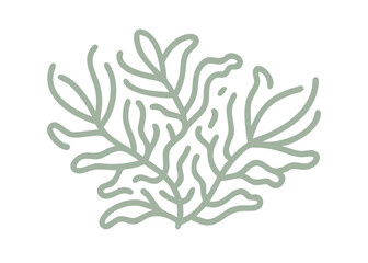 Minimalist Sphagnum Moss Illustration, Sphagnum sp.