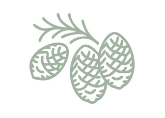 Sitka Spruce Cones and Branch Line Art