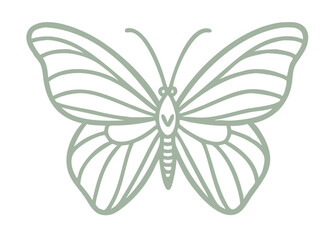 Minimalist Butterfly Outline Illustration in Sage Green