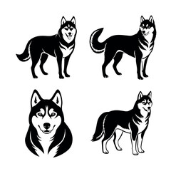 set of dogs Siberian Husky