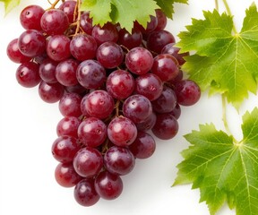 Fototapeta premium grape fruit white isolated background