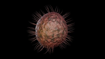 Cryptobiosis. Anhydrobiosis. Dehydrated organism in dormant state becomes moist and rehydrated. Rejuvenation of desiccated organism. Dry seed becomes moist and rehydrated. 3d render illustration.