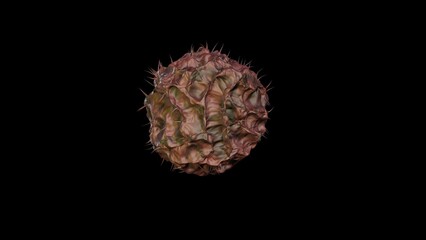 Cryptobiosis. Anhydrobiosis. Organism drying out entering dormant state.  Seed dries up entering dormancy. 3d render illustration