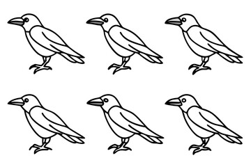 Elegant Crow Sketch Pack