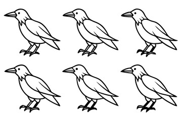 Elegant Crow Sketch Pack