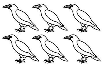 Elegant Crow Sketch Pack