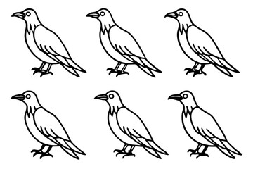 Elegant Crow Sketch Pack