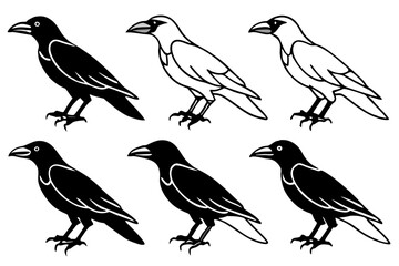 Elegant Crow Sketch Pack