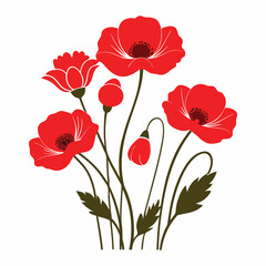 poppy flowers vector illustration