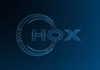HOX low poly letter logo vector design. HOX lower poly logo design.