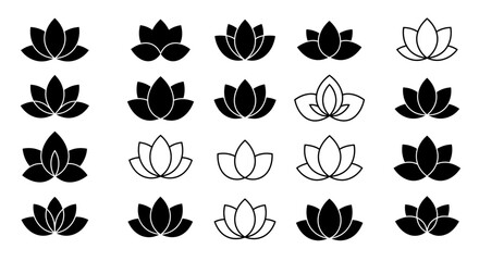 black and white tulips