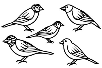 Obraz premium Finch Bundle Set Minimalist Line Art Vector