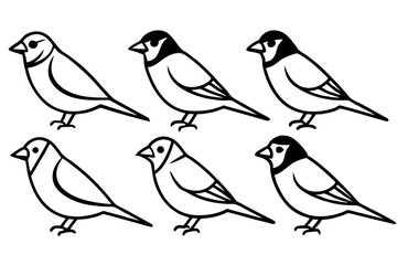 Finch Bundle Set Minimalist Line Art Vector