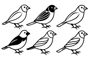 Finch Bundle Set Minimalist Line Art Vector