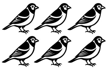 Finch Bundle Set Minimalist Line Art Vector