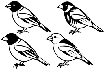 Finch Bundle Set Minimalist Line Art Vector