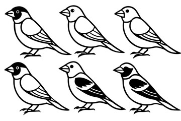 Finch Bundle Set Minimalist Line Art Vector