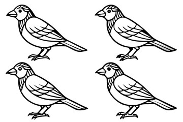 Finch Bundle Set Minimalist Line Art Vector