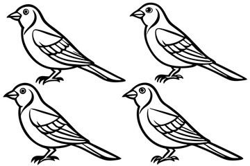 Finch Bundle Set Minimalist Line Art Vector