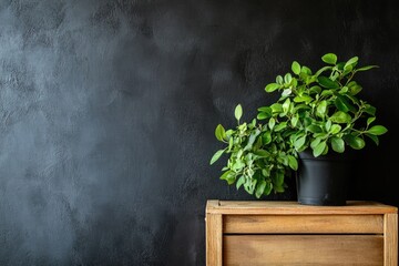 Potted plant on wooden nightstand, dark wall