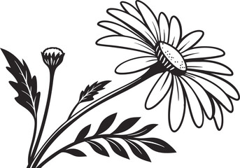 Daisy Flower Illustration Design. Elegant Daisy Bloom Line Art. Botanical Daisy Flower Outline. Hand Drawn Daisy Floral Design. Minimal Daisy Flower Drawing