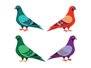 Fototapeta premium pigeons illustration set 
