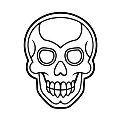 human skull isolated on white