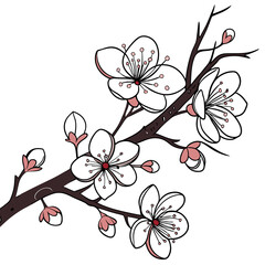 Delicate Cherry Blossom Branch Springtime Blooms Floral Arrangement Image