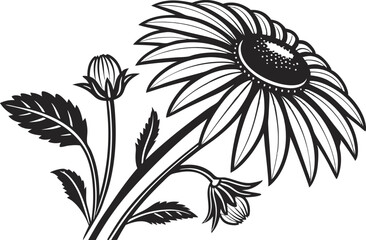 Sunflower Illustration Design. Botanical Sunflower Flower Drawing. Hand Drawn Sunflower Line Art. Elegant Sunflower Floral Design. Minimal Sunflower Outline Art